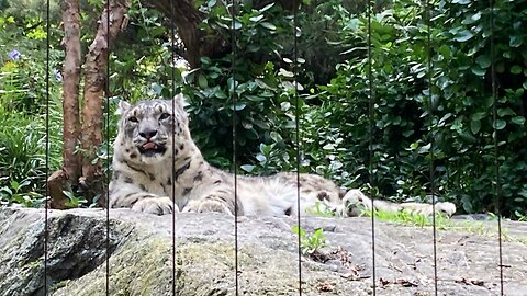Central Park Zoo (Manhattan)