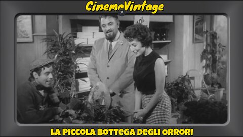 La piccola bottega degli orrori (1960) – Il cult horror-comico di Roger Corman