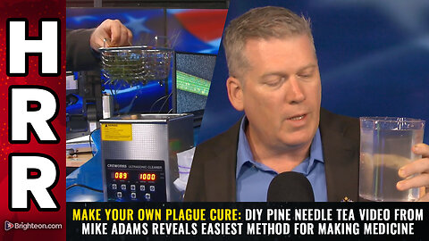 MAKE YOUR OWN PLAGUE CURE: DIY pine needle tea video from Mike Adams...