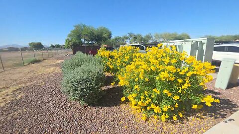 How to pick a hide in the city