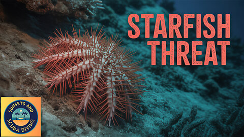 Do you want to see a killer of coral reefs?