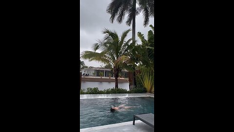 Everyone inside on a rainy day.Holly-