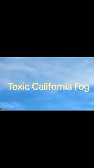 On The Topic Of Toxic Fog