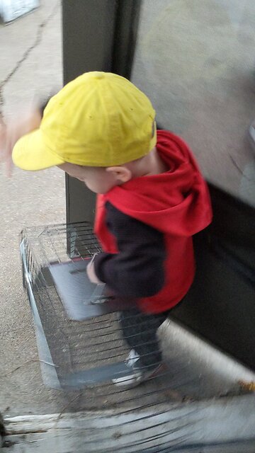 BradKuz76 Tommy's gonna catch a ratcorn