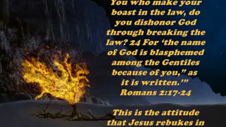 Matthew 15:14 - Daily Bible Verse Commentary