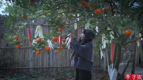 The last episode of "Life Series" The life of white radish