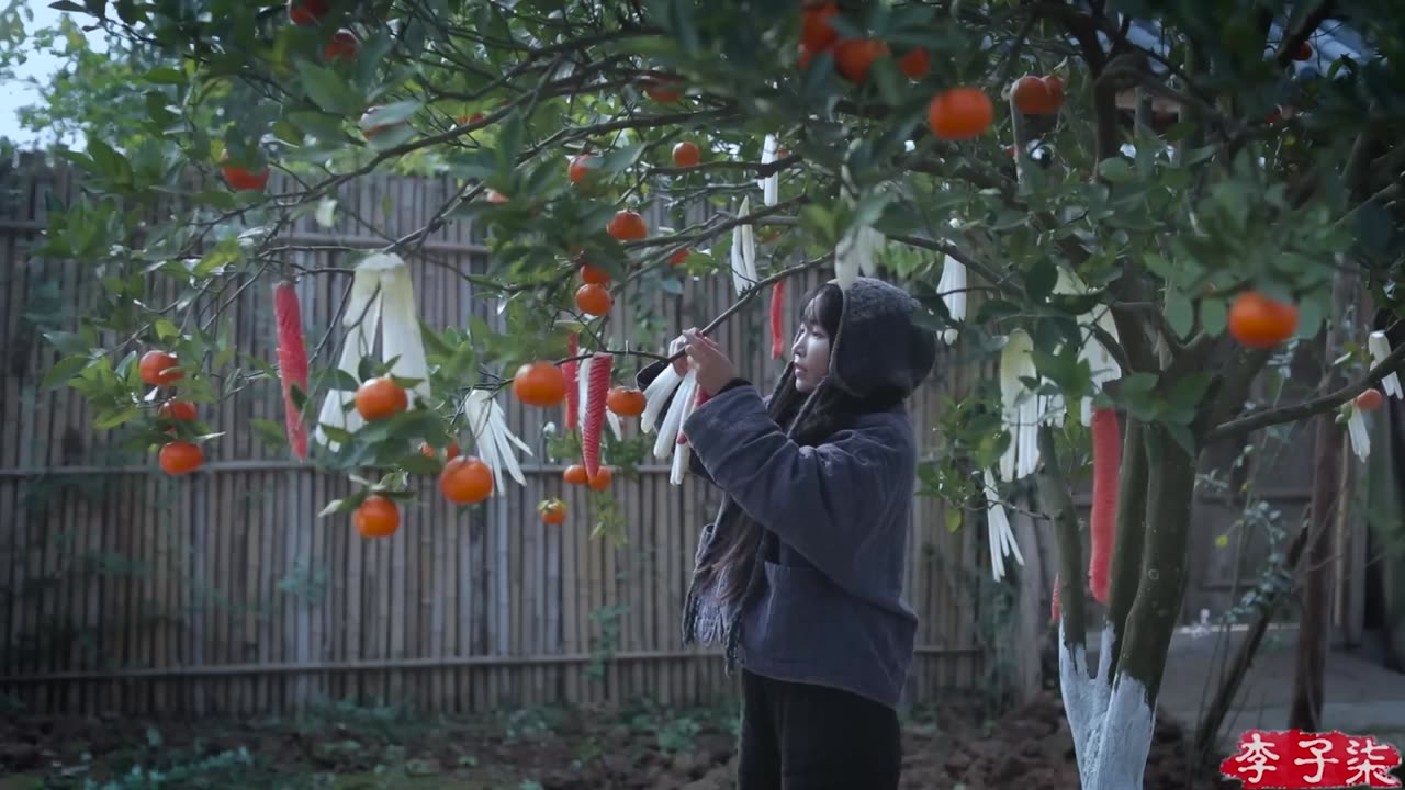 The last episode of "Life Series" The life of white radish