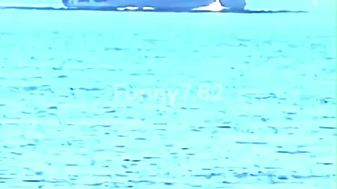 Why the US Navy Uses Two Different Aircraft Carriers #military #defence