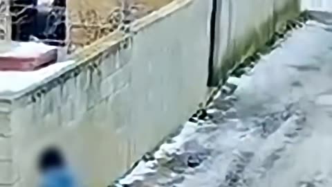 WC-takarítás helyett ez a cigány is idős asszonyt rabolt ki