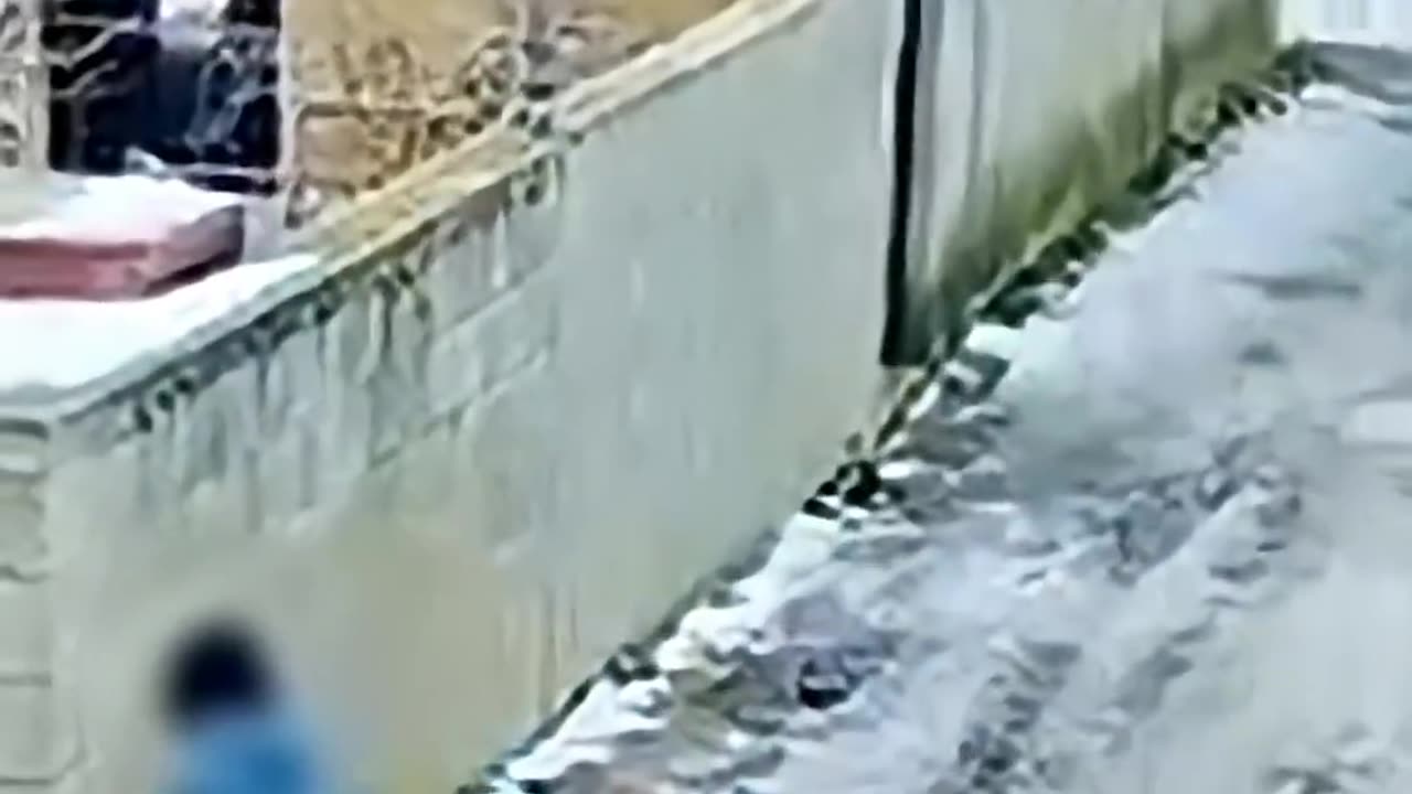 WC-takarítás helyett ez a cigány is idős asszonyt rabolt ki