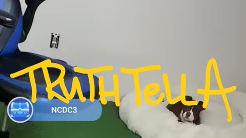 NOCAP SUNDAY LIVE 21BADBITCH DRAMA, TRAP CECE DRAMA & MORE