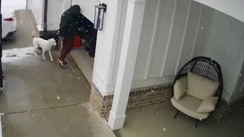 All This Snow Has Got Me Acting a Fool