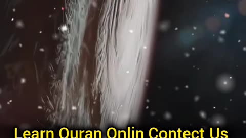 Surah Naas Heart-Touching Tilawat | Peaceful Quran Recitation by Hafiz Ali Hasan