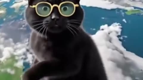 Gato Cósmico: ¡El Baile Viral! 😎🐱