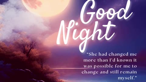 Midnight Sun Book Quote