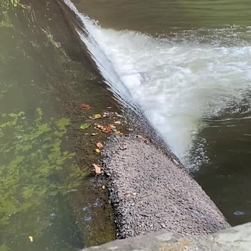 ISN'T THERE SOMETHING AMAZINGLY RELAXING ABOUT THIS?