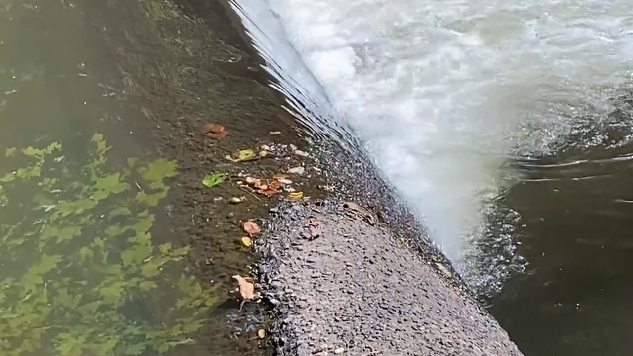ISN'T THERE SOMETHING AMAZINGLY RELAXING ABOUT THIS?