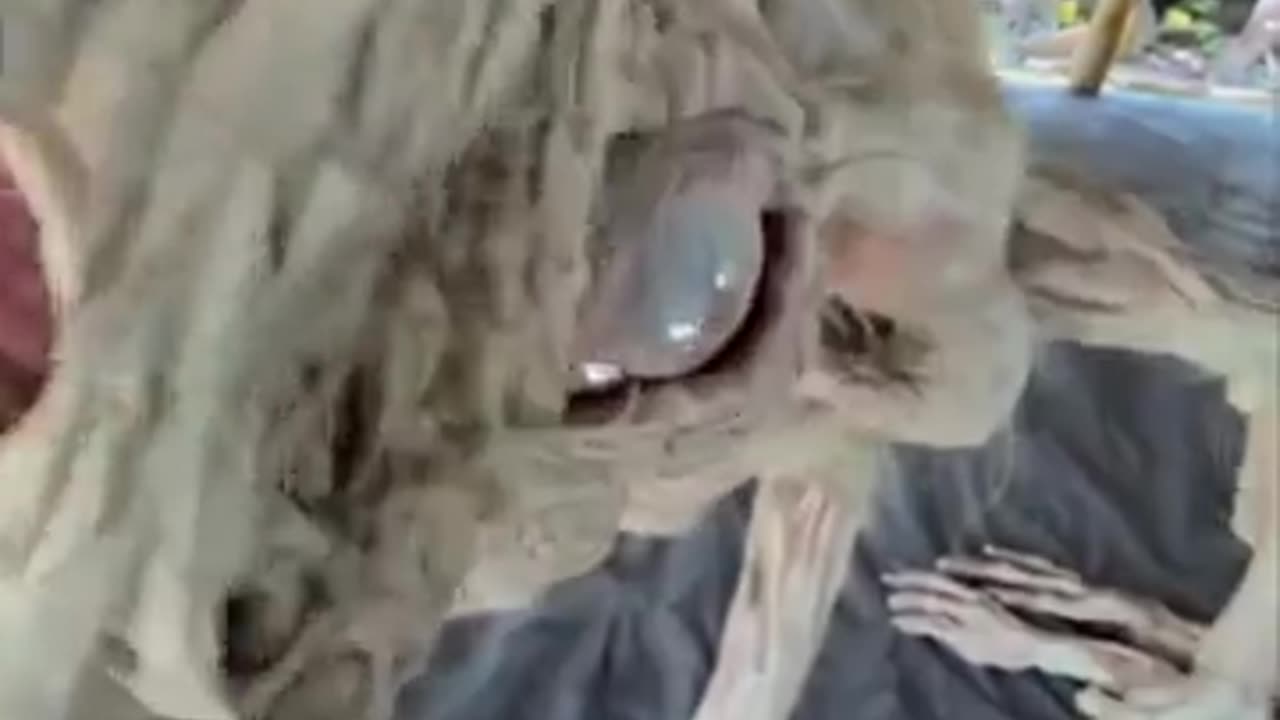 Super Scary creature