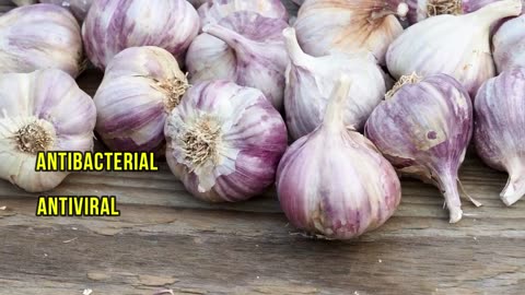 8 Amazing Health Benefits of Eating Garlic and Honey
