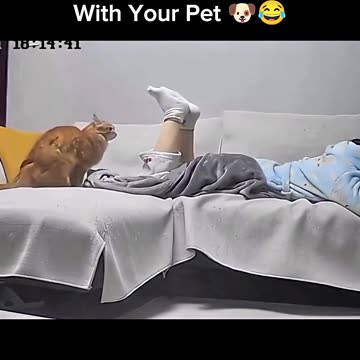 When your home alone with your pet