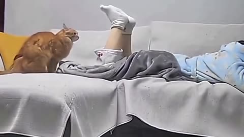 When your home alone with your pet