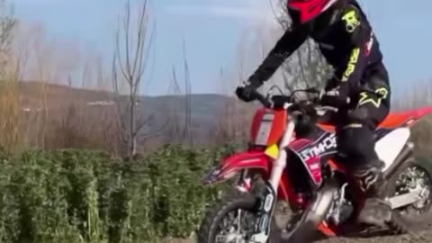 Training adrenaline since childhood