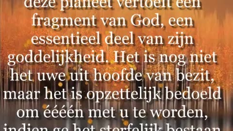 In Ieder Moreel Wezen