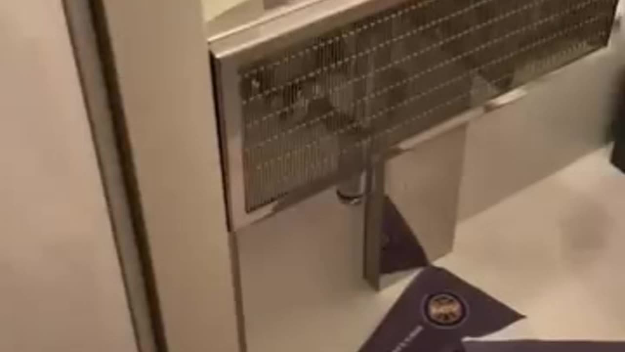 Awesome sleeping cats - Funny cats