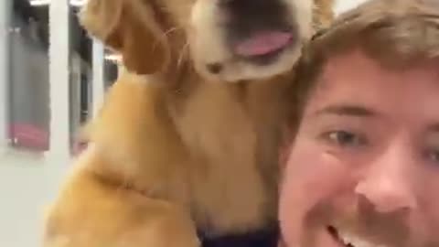 MR BEast with his pet