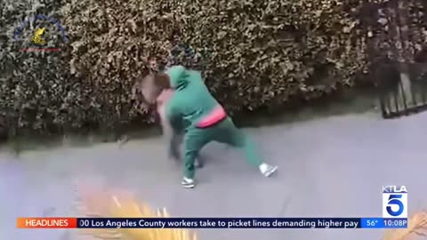 Gardener’s Morning Routine Shattered by Savage Hate Crime Attack in Inglewood Neighborhood