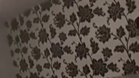 A Chinese woman has been sentenced in the UK to more than 11 years in prison for