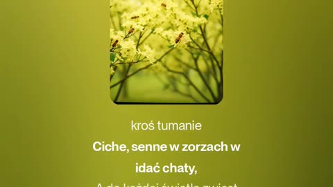 2 - Lipy kwitną - tekst Maria Konopnicka - śpiew i muzyka SI/AL 🎵 - 24.08.2025