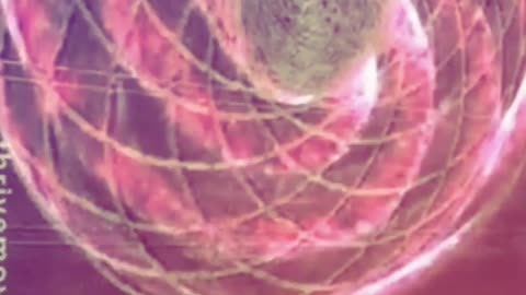 What Are Crop Circles Trying To Tell Us?