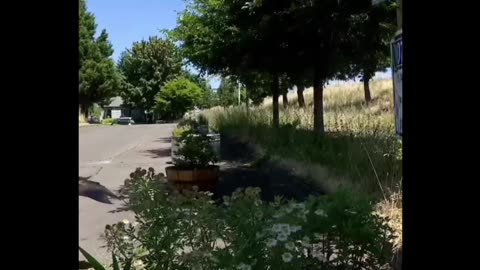Portland Neighborhood Takes Back Their Street from Criminals