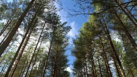 calming music, deep relaxation, natural stress relief, anxiety soothing, depression therapy