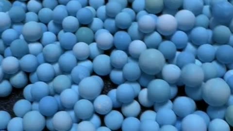 250321-8 The raw ore turquoise is carefully polished into round beads.