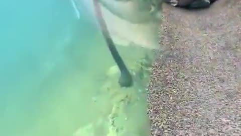 😱💰 This Will Give You Nightmares! | TheHauntingHour