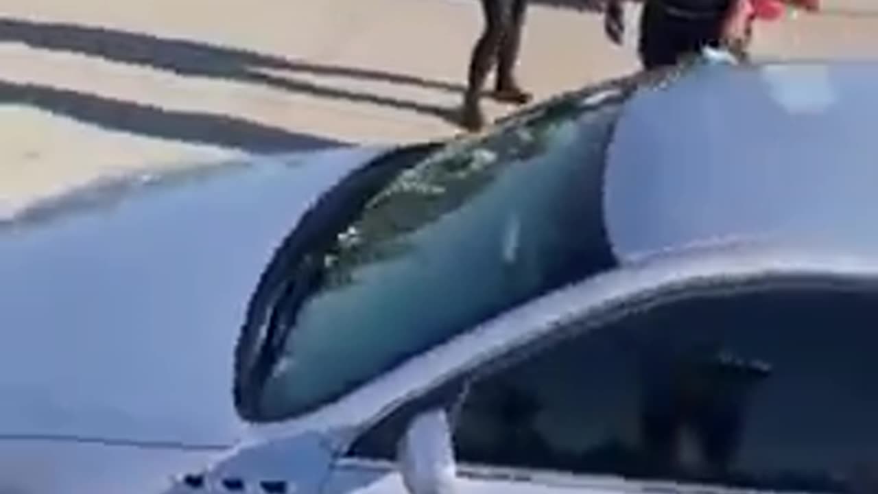 FAFO - HORSES LIVES MATTER! GTFO the way!