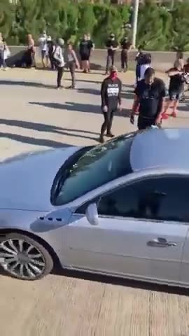 FAFO - HORSES LIVES MATTER! GTFO the way!