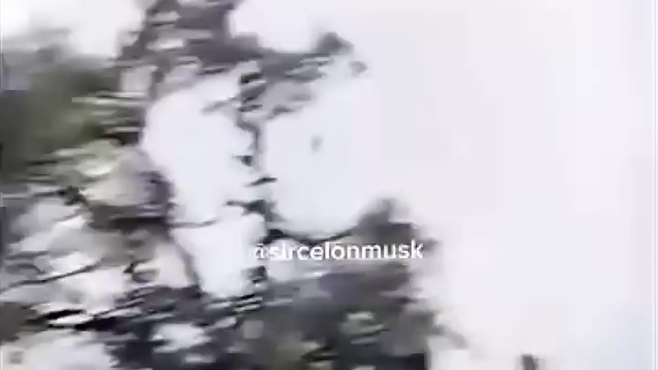 funny video dont laugh challenge