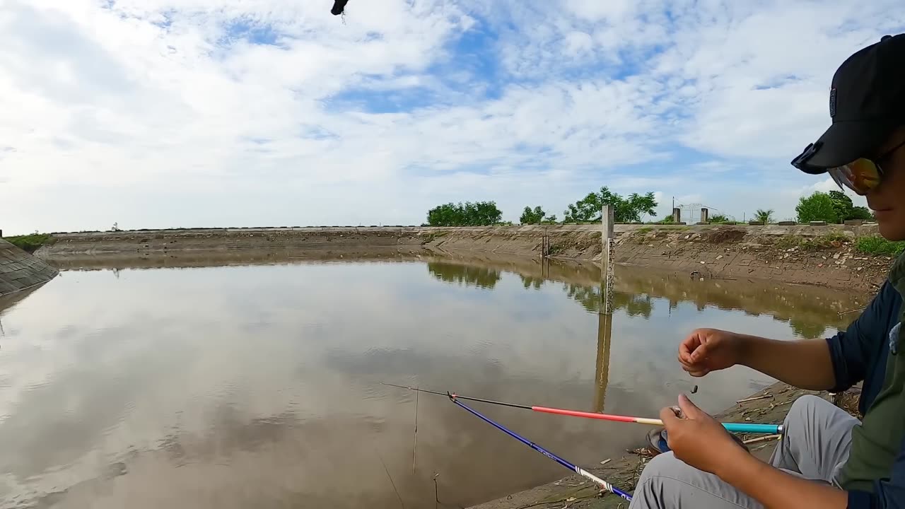 Muskellunge Rules the Silent Cove