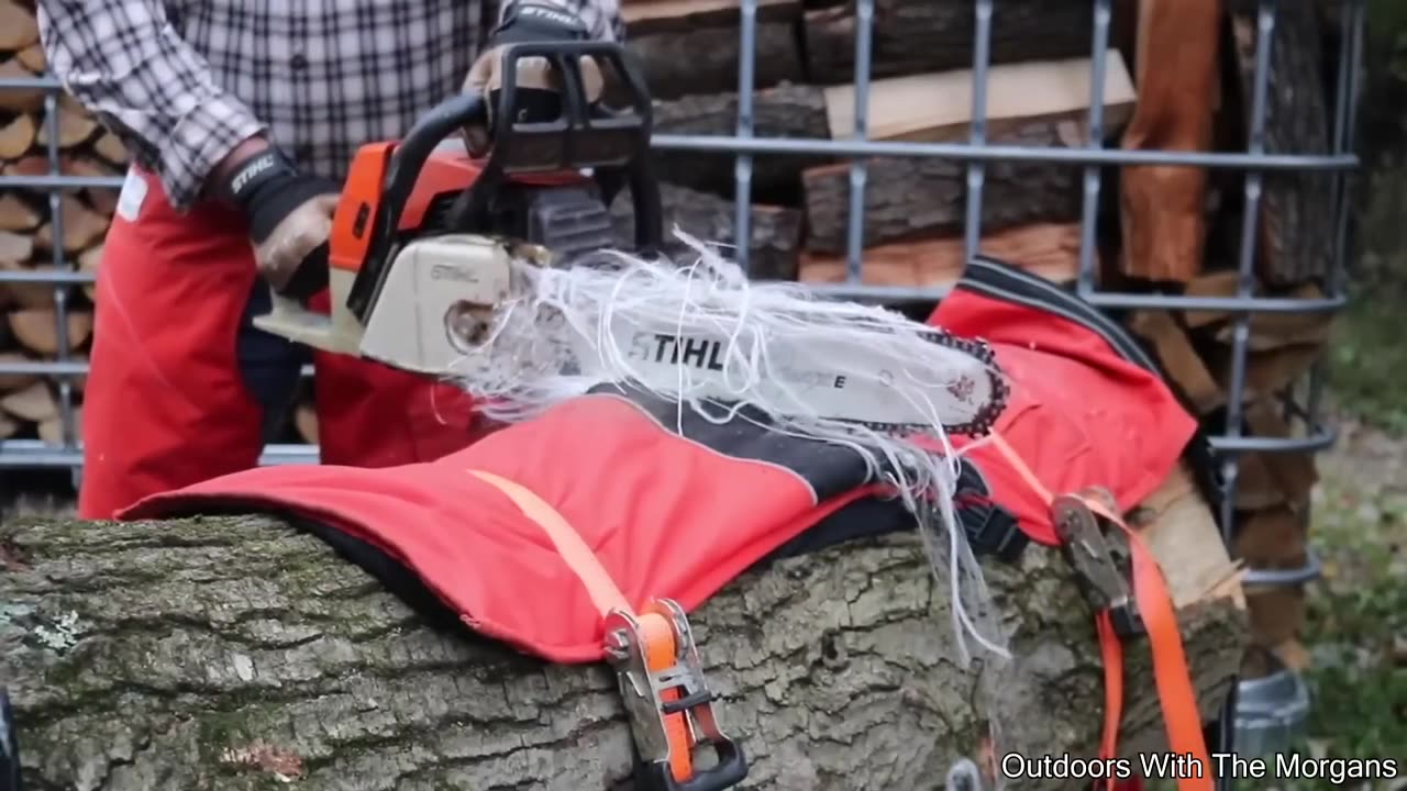 Cat Has The Worst Brain Freeze - Your Daily Does of Internet