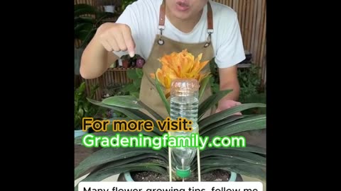 unique watering tips