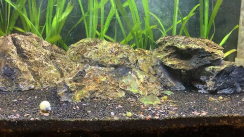Tank Update 2