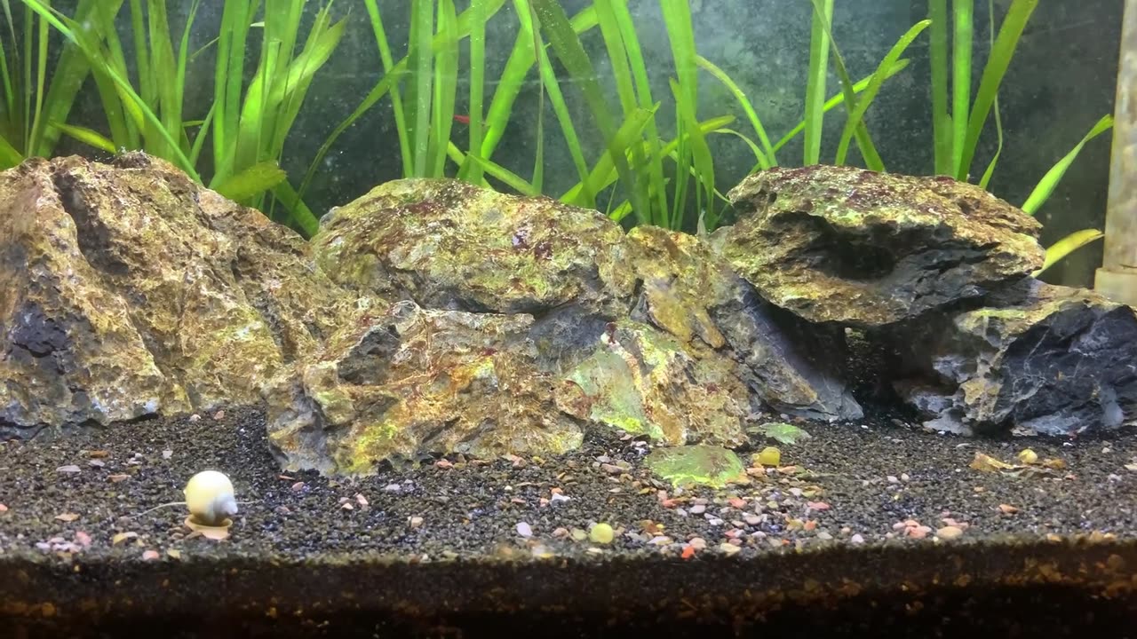 Tank Update 2