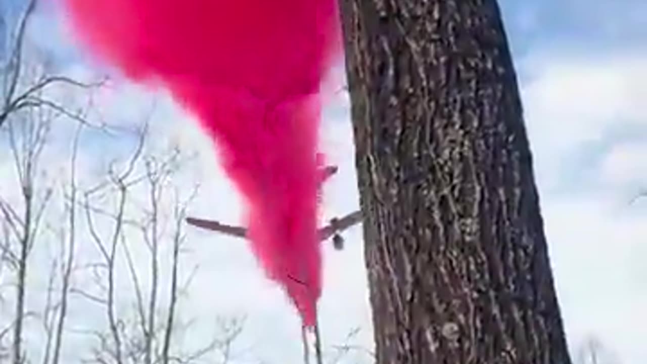 Absolutely MASSIVE tanker planes combat wildfires in Western NC