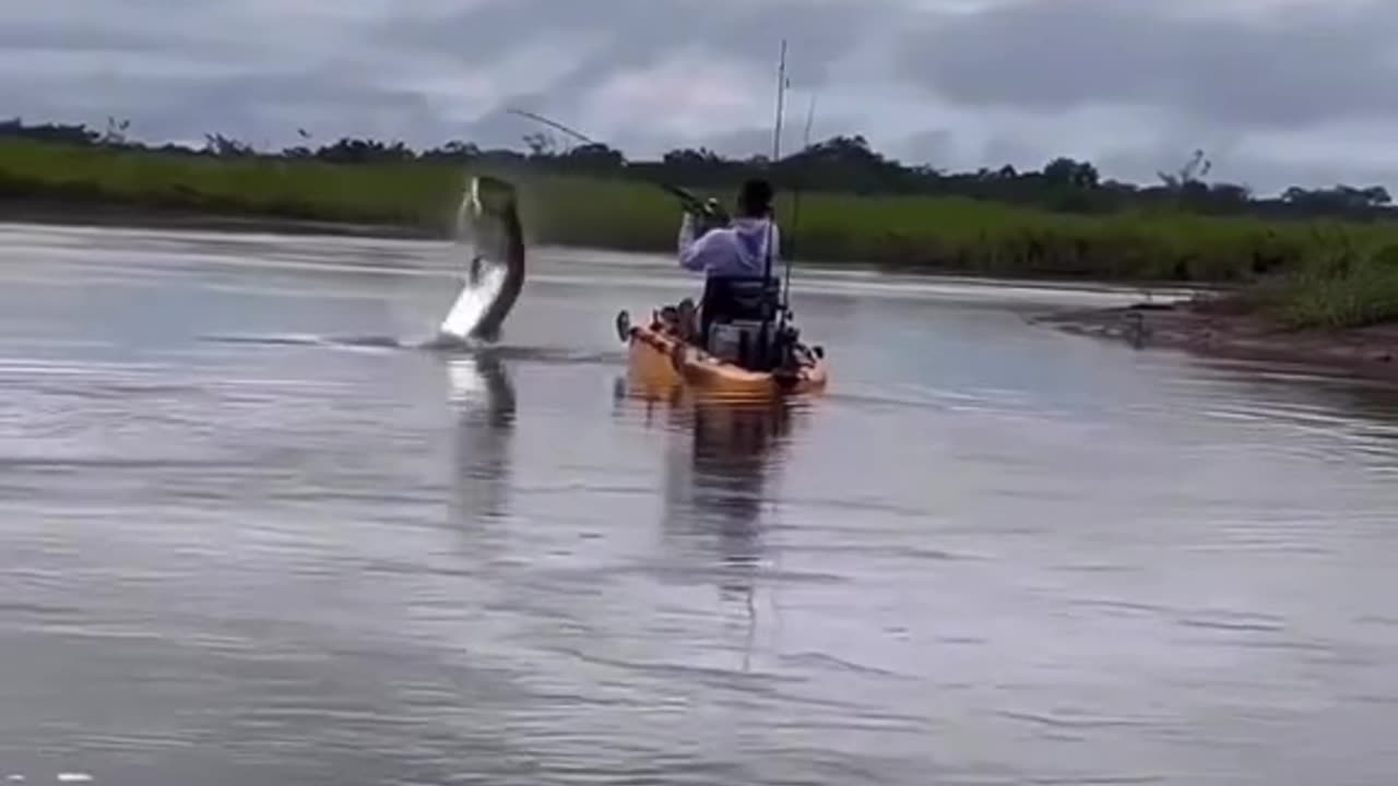 Monster catch by fisherman 😮!! Unbelievable hook fishing!
