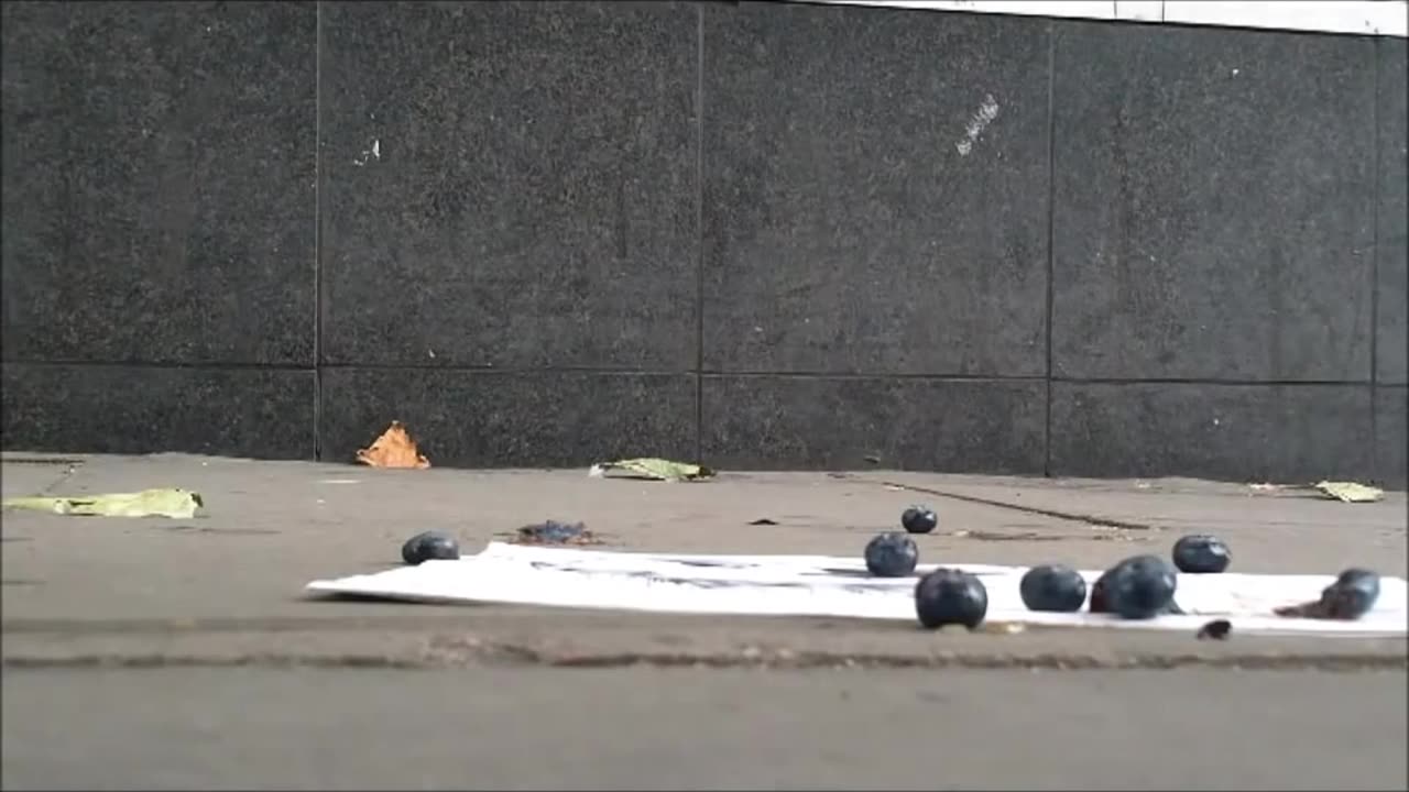 Street Trample 1 - Candid