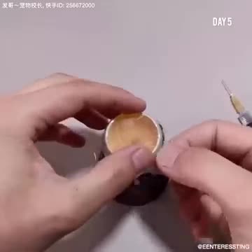 How A Chick Born From A Egg 🐣