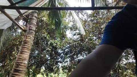 Sunday, 5th October 2025, DWG Sunday School